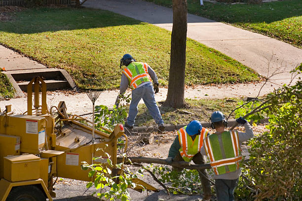Best Hazardous Tree Removal  in Portland, TN